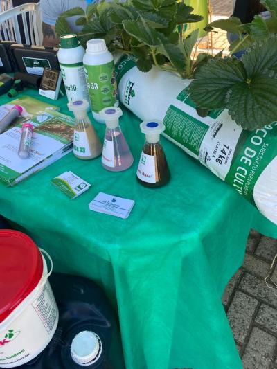 LS: Mais de 300 inscritos no Encontro do Morangueiro