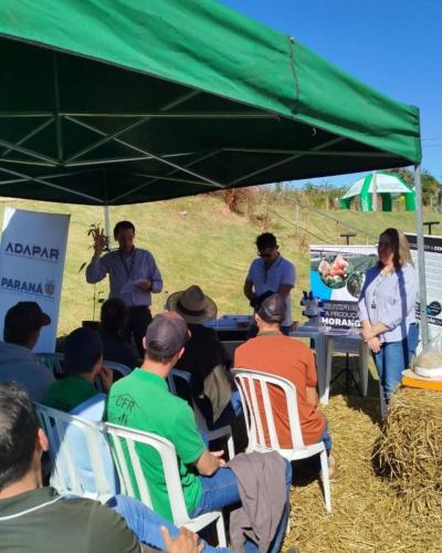 LS: Mais de 300 inscritos no Encontro do Morangueiro