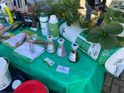 LS: Mais de 300 inscritos no Encontro do Morangueiro