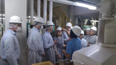 Colaboradores da Cresol Vale das Águas conhecem processo de industrialização do Moinho da Coprossel