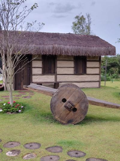Romaria da Imagem Peregrina de Laranjeiras do Sul retorna de Aparecida com fé renovada e corações cheios de amor