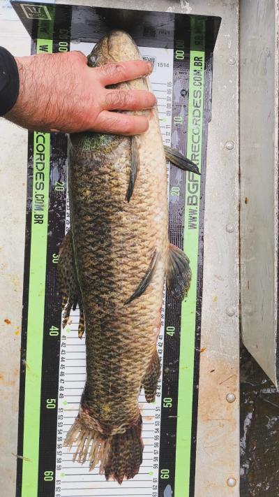 Os Biguá do Iguaçu são campeões da Pesca Esportiva "Os Mió do Paraná" 