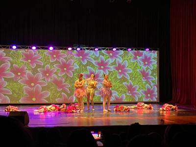 LS: Espetáculo “Fada” encanta público