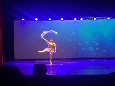 LS: Espetáculo “Fada” encanta público