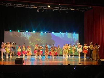 LS: Espetáculo “Fada” encanta público