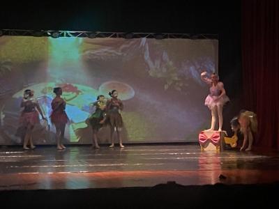 LS: Espetáculo “Fada” encanta público