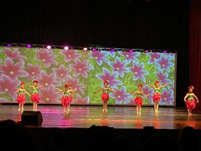 LS: Espetáculo “Fada” encanta público