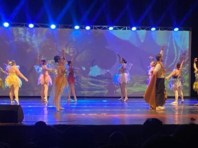 LS: Espetáculo “Fada” encanta público