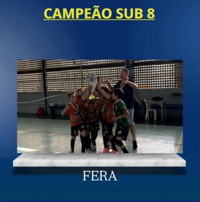 Confira os Campeões da 1ª Copa Projeto Jogando Juntos Futsal de Base 