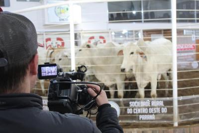Feira de Bezerros e Bezerras da Sociedade Rural acontece dia 15 de março em durante a Expoagro