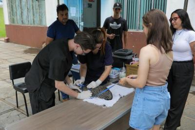 Campanha de Vacinação Gratuita de Gatos é sucesso em Laranjeiras do Sul