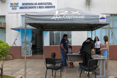 Campanha de Vacinação Gratuita de Gatos é sucesso em Laranjeiras do Sul