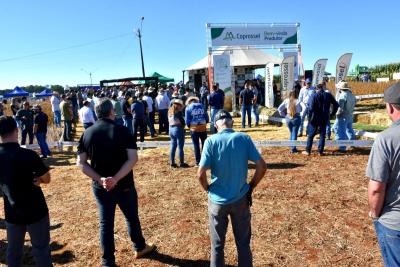 Dia de Campo Coprossel reúne centenas de produtores durante a Expoagro 2026