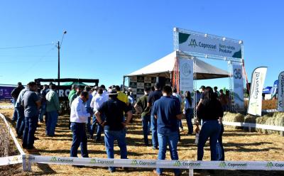 Dia de Campo Coprossel reúne centenas de produtores durante a Expoagro 2026