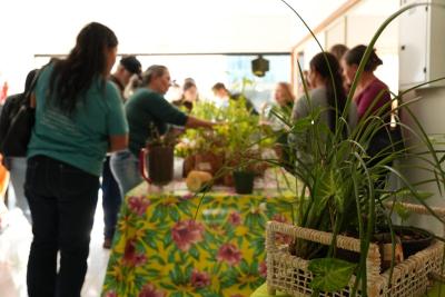 LS: Feira de troca de mudas e sementes é marcada pela presença do público e atrações culturais