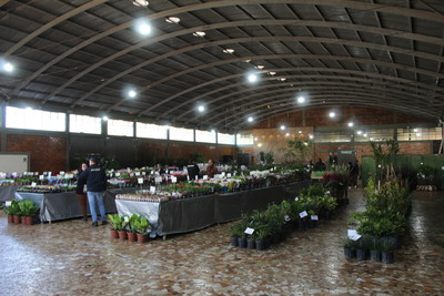 Feira de Mudas do Rotary Clube de Laranjeiras do Sul começa nesta terça-feira (30)