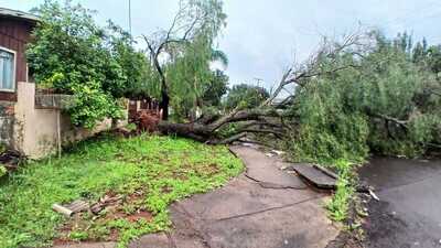 Temporal causa estragos em Laranjeiras do Sul
