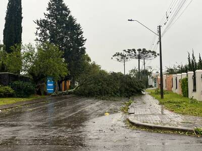 Temporal causa estragos em Laranjeiras do Sul
