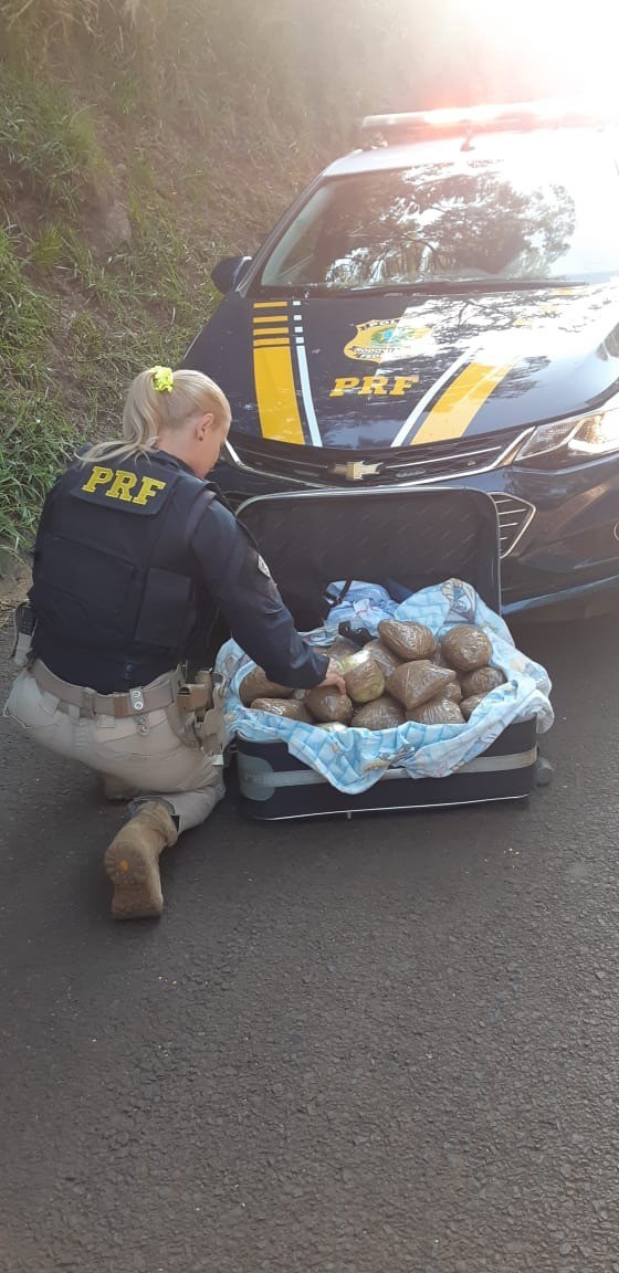 PRF apreende mais de 10 quilos de skunk na mala de um carona em GuaraniaÃ§u (PR)