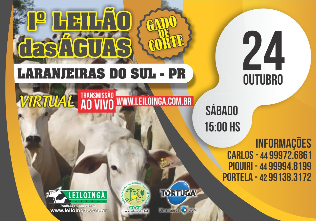 Laranjeiras do Sul - LeilÃ£o VIRTUAL de gado de corte da Sociedade Rural serÃ¡ neste sÃ¡bado (24/10)