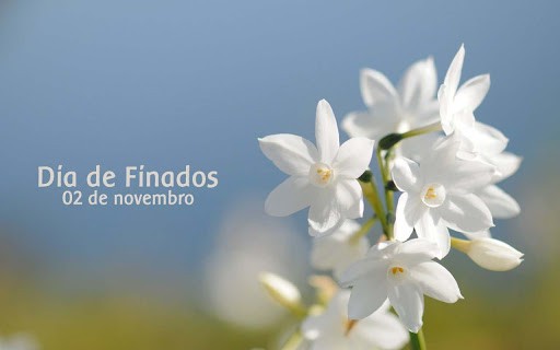 Dia de Finados: Prazo para reformas e construÃ§Ãµes de tÃºmulos vai atÃ© dia 28