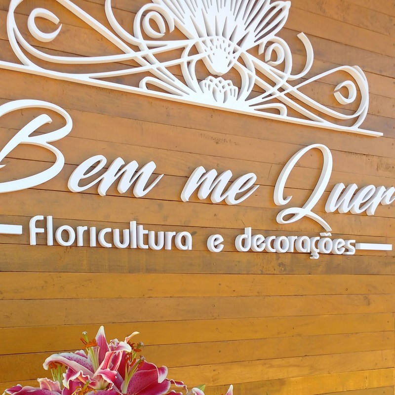 PromoÃ§Ã£o Especial Finados Bem Me Quer Floricultura 