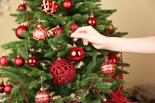 Árvore de Natal - Existe um dia certo para montá-la?
