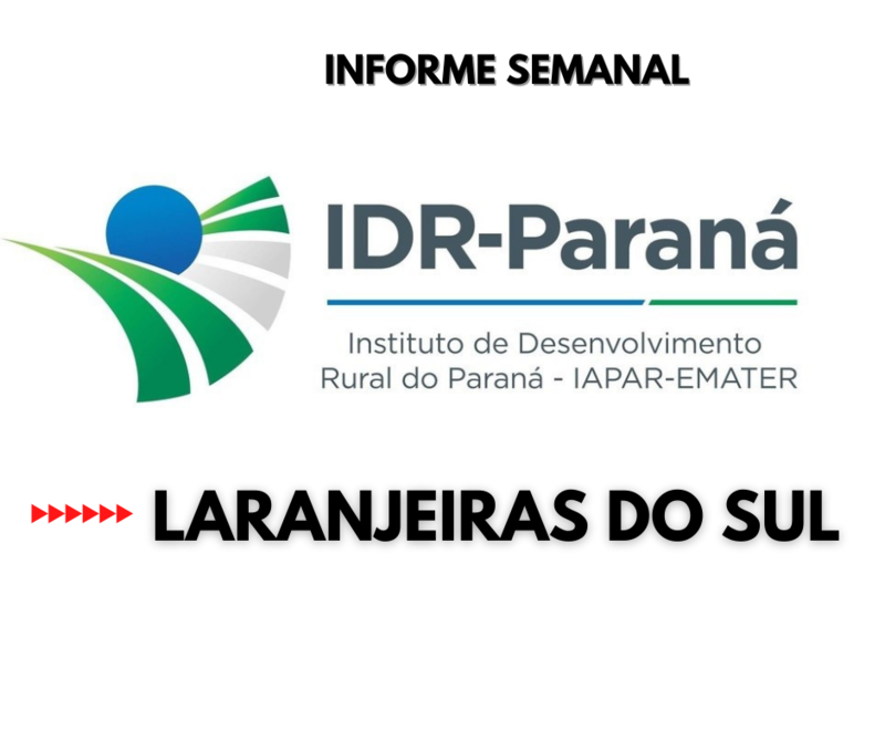 IDR de Laranjeiras do Sul orienta produtores sobre controle da cigarrinha em Ã¡reas de pastagem