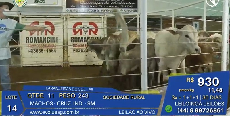 LeilÃ£o Virtual da Sociedade Rural de Laranjeiras do Sul,  movimenta mais de um milhÃ£o e quatrocentos mil reais na economia local 