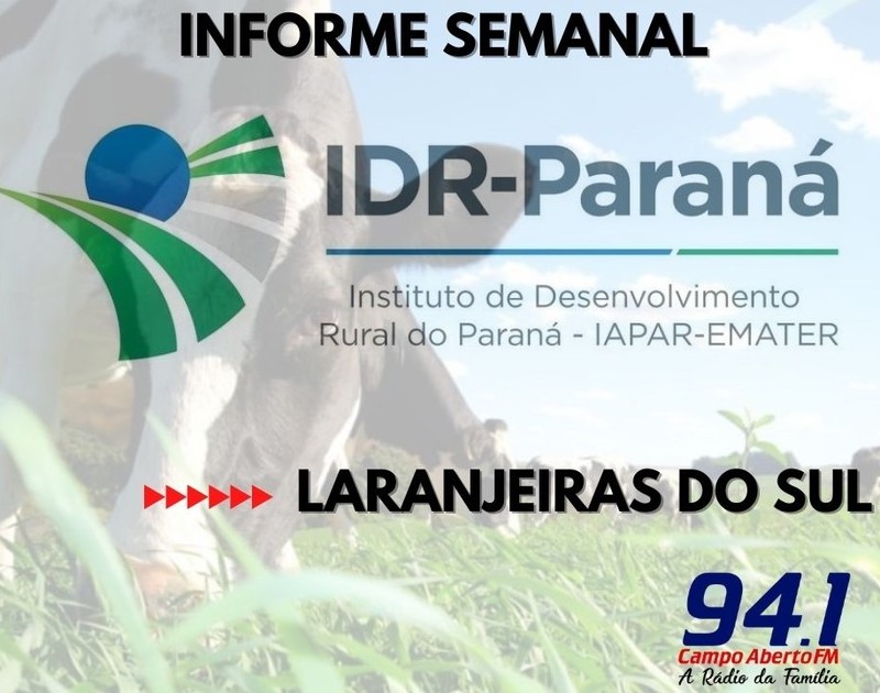 Informe semanal IDR Laranjeiras do Sul - Bom manejo da pastagem regional 