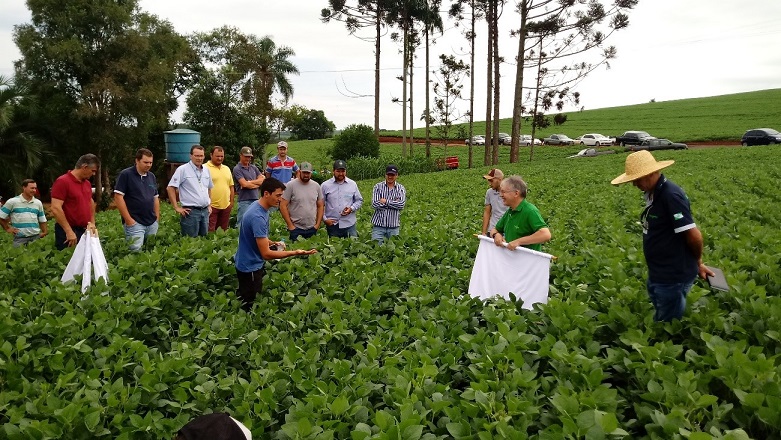 Dia do Controle da Poluição por Agrotóxicos alerta para práticas sustentáveis