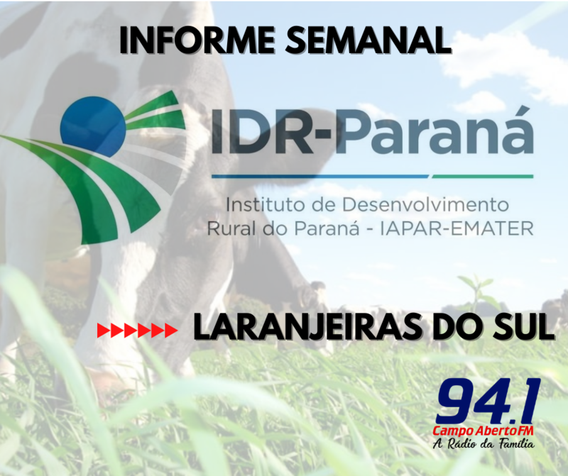 IDR ParanÃ¡ -  Regional de Laranjeiras do Sul planeja aÃ§Ãµes para 2021