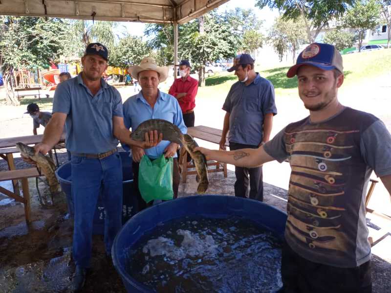 Feira do peixe vivo e RÃ£ de Virmond comercializou mais de 150 kg