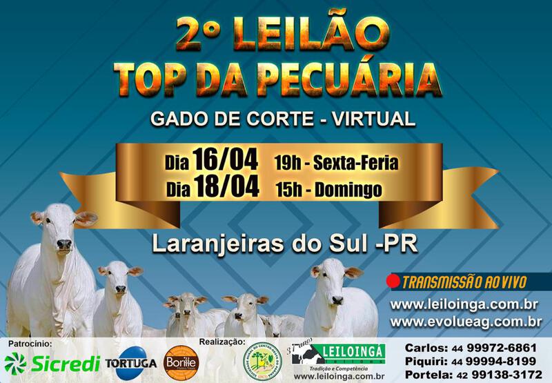 Sociedade Rural de Laranjeira do Sul promove 2Â° leilÃ£o Top da PecuÃ¡ria  - Virtual 