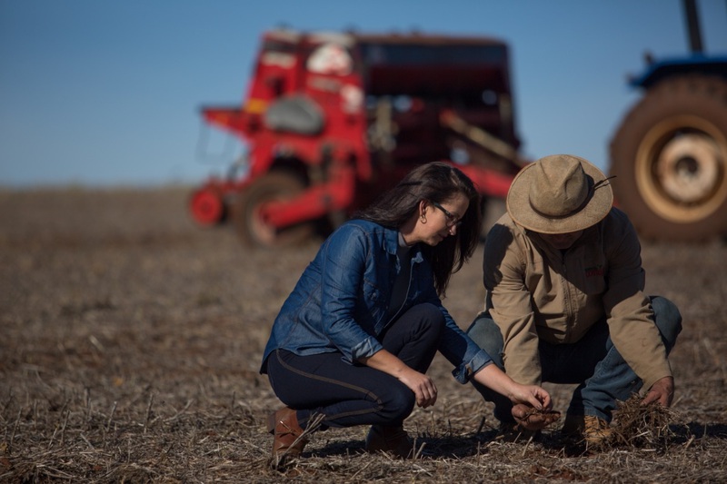 Sicredi disponibiliza contratação de seguro agrícola para associados