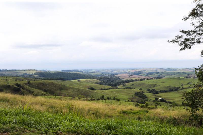 Com valorizaÃ§Ã£o da produÃ§Ã£o, preÃ§o de terras agrÃ­colas sobe no ParanÃ¡