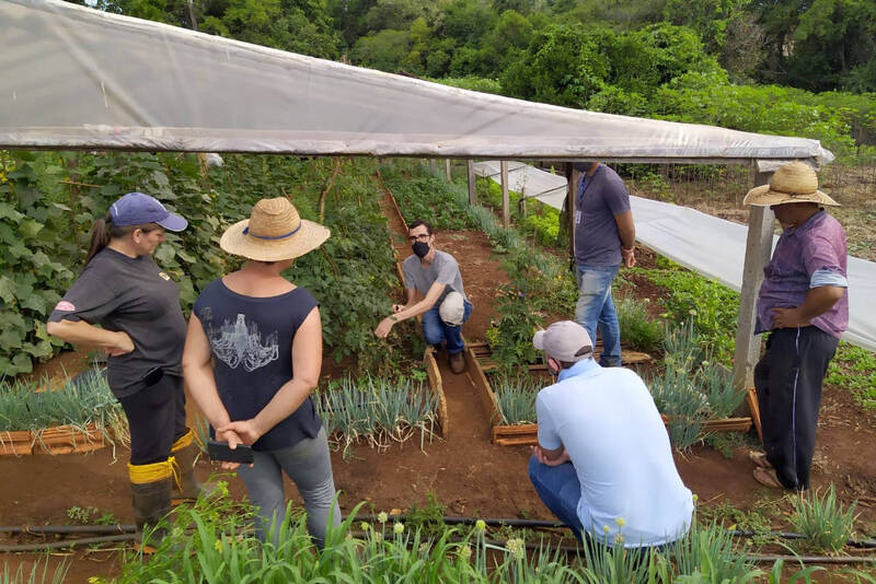 Trabalho dos extensionistas rurais completa 65 anos no ParanÃ¡