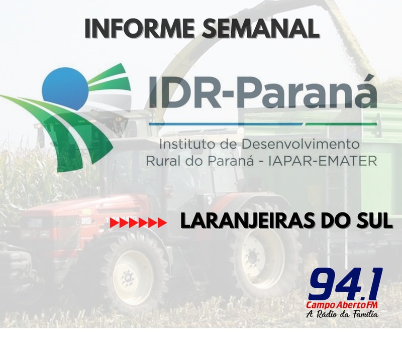 IDR auxilia cooperativas e associaÃ§Ãµes em projetos para acesso de recursos do Coopera ParanÃ¡ 