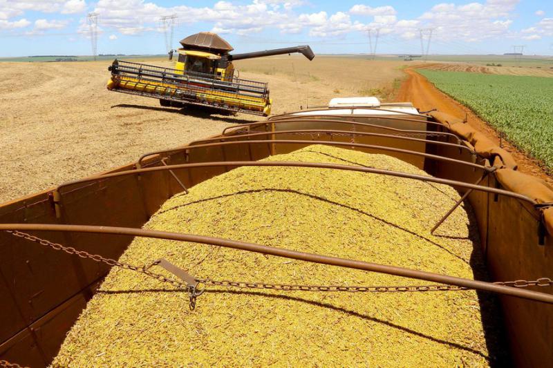 Safra de grÃ£os 2020/21 deve chegar a 38 milhÃµes de toneladas no ParanÃ¡