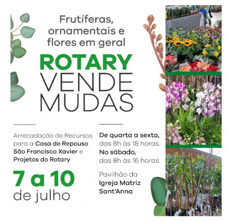 ComeÃ§a hoje quarta-feira (07/07) o Rotary vende mudas em Laranjeiras do Sul