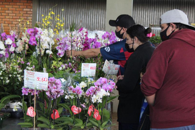 ComeÃ§ou hoje a comercializaÃ§Ã£o de mudas do Rotary Clube de Laranjeiras do Sul
