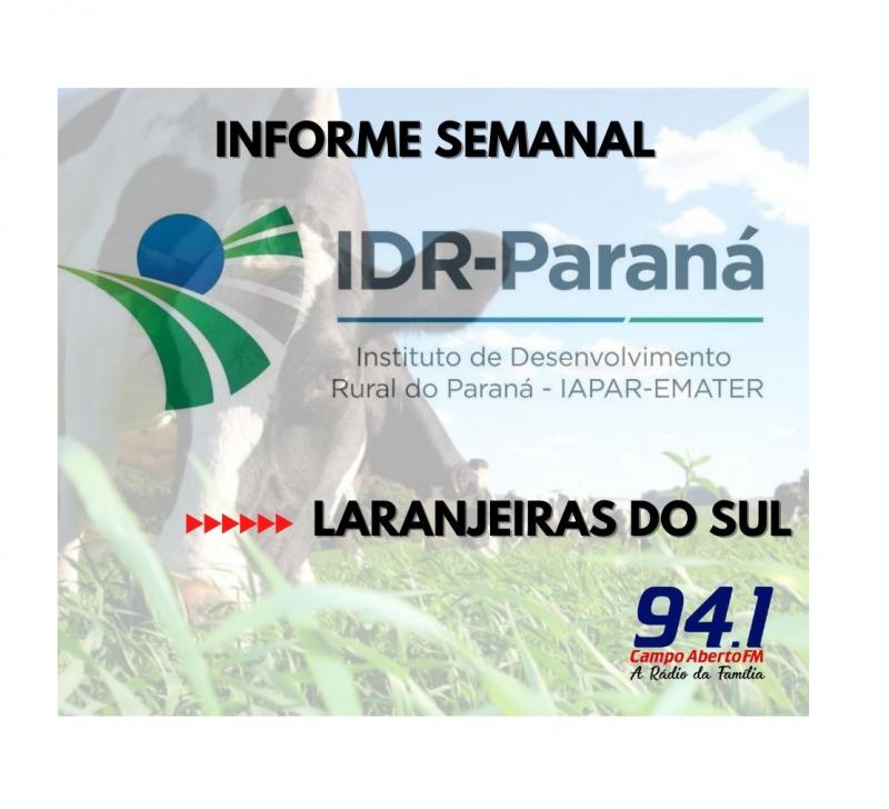 Produtores jÃ¡ podem encaminhar projetos para o ParanÃ¡ Energia Rural RenovÃ¡vel 