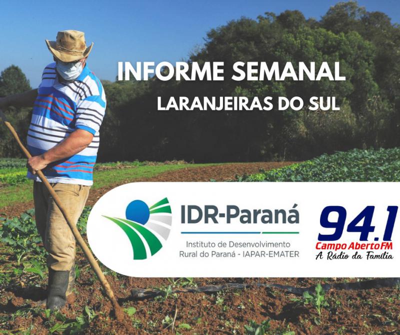 7 projetos da Agricultura Familiar da regiÃ£o de Laranjeiras do Sul estÃ£o concorrendo a recursos do Coopera ParanÃ¡ 