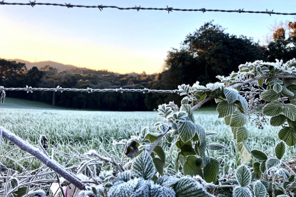 Mais 13 municípios batem recorde de temperaturas baixas neste ano no Paraná