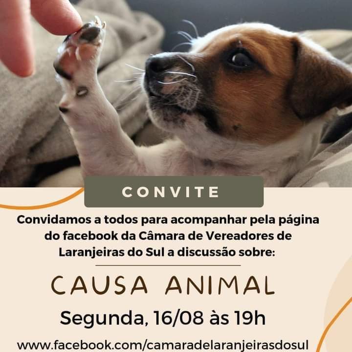 Rede de proteÃ§Ã£o animal e sociedade organizada propÃµe hoje (16/08) proposta cÃ¢mara de vereadores de Laranjeiras do Sul