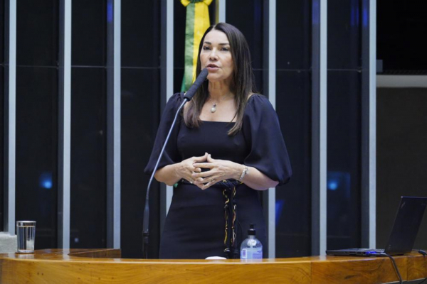 Por acordo, relatora propÃµe quarentena eleitoral para juÃ­zes e militares apÃ³s 2026