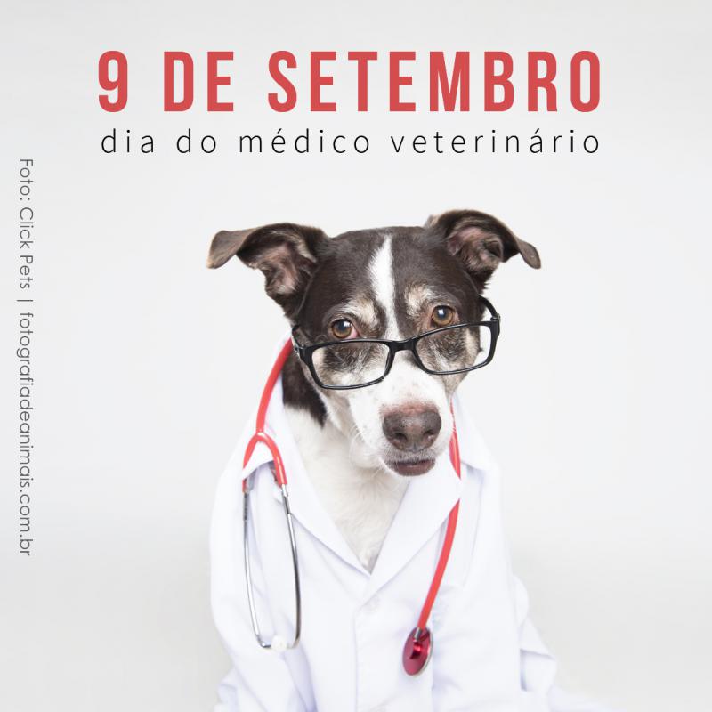 9 de setembro Dia do Médico Veterinário 