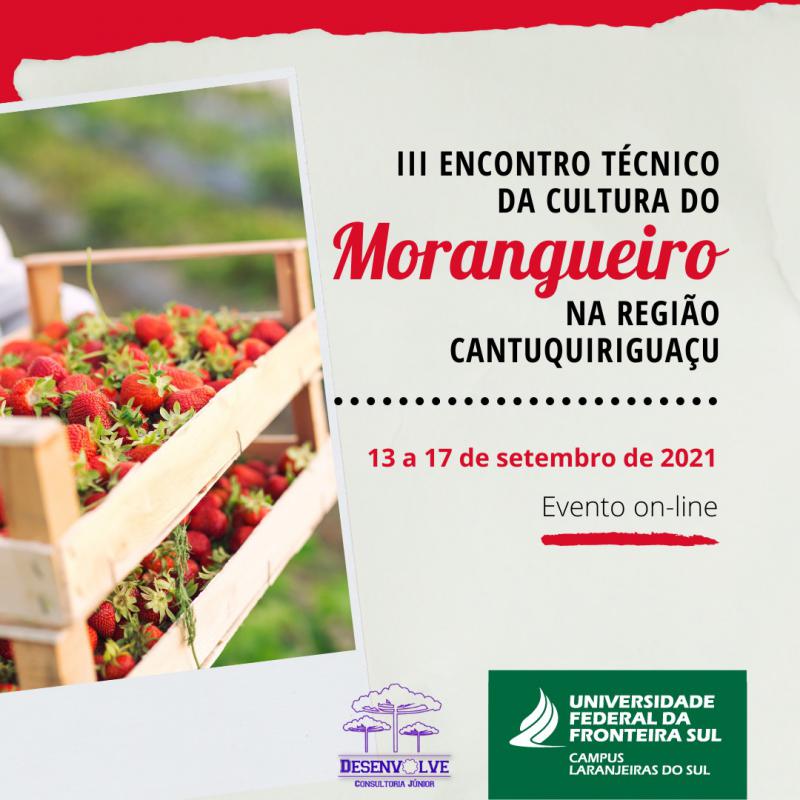 UFFS Campus Laranjeiras do Sul promove o III Encontro TÃ©cnico da Cultura do Morangueiro na RegiÃ£o da CantuquiriguaÃ§u