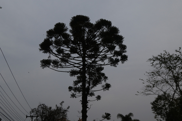 Frente fria derruba temperaturas e provoca chuvas. ParanÃ¡ estÃ¡ em alerta