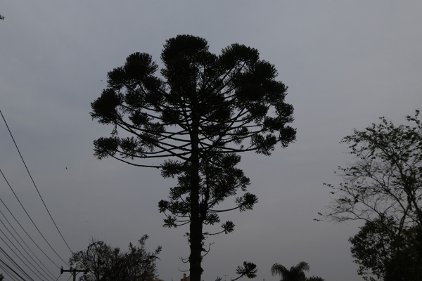 Frente fria derruba temperaturas e provoca chuvas. Paraná está em alerta